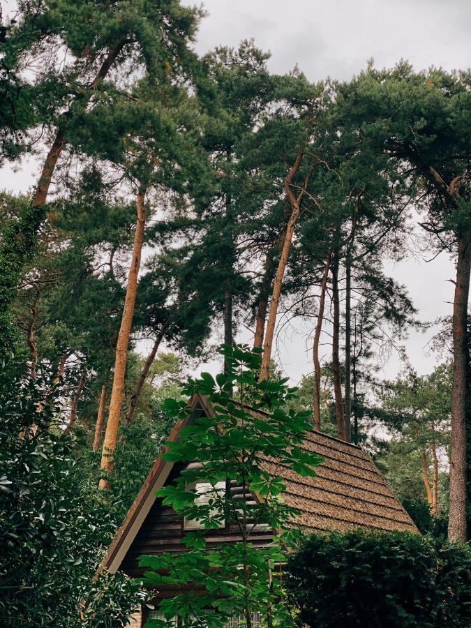 Mimi'S Natuurhuisje Lanaken Bagian luar foto