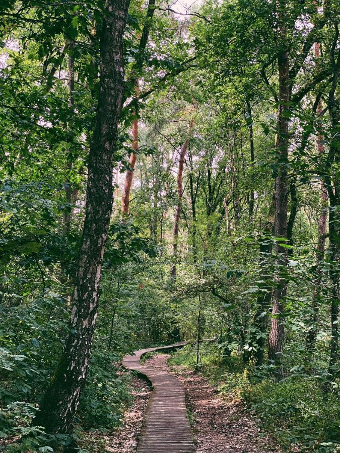 Mimi'S Natuurhuisje Lanaken Bagian luar foto
