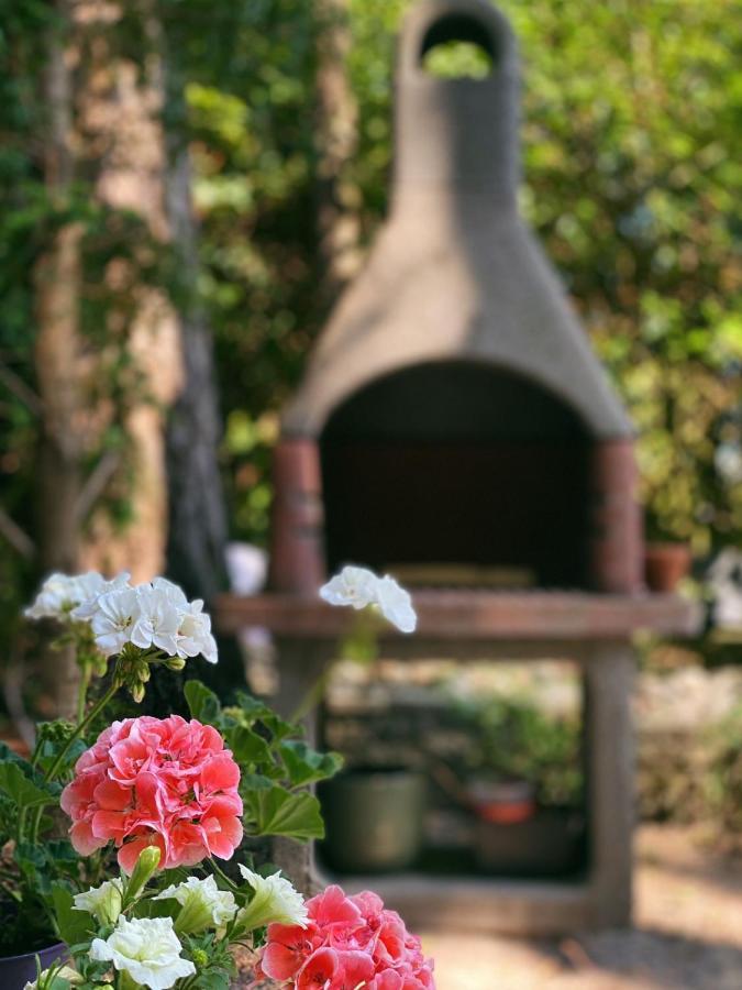 Mimi'S Natuurhuisje Lanaken Bagian luar foto