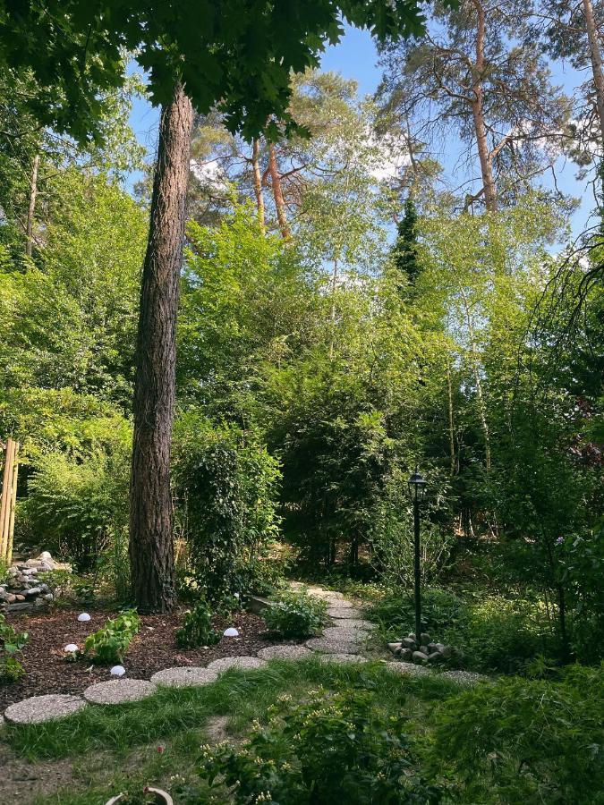 Mimi'S Natuurhuisje Lanaken Bagian luar foto