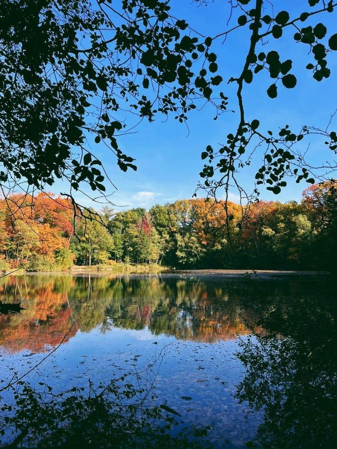 Mimi'S Natuurhuisje Lanaken Bagian luar foto